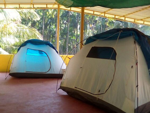 Dandeli Farm Stay-Camping Tent